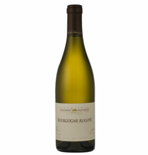 Bourgogne Aligoté 2019 "Les Classiques"