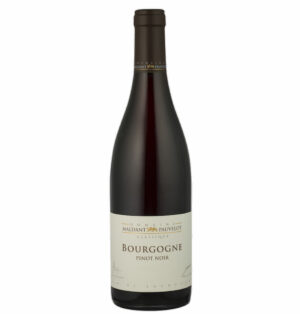 Bourgogne Pinot Noir 2018 "Les Classiques"