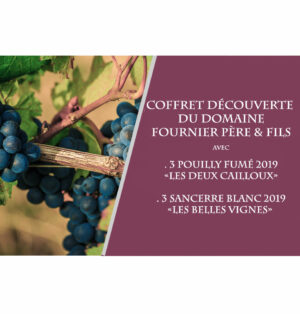 Coffret Découverte de 3 Bouteilles du Domaine Boissonnet 0