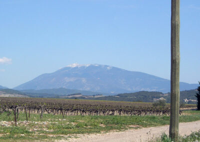 Domaine de la Guintrandy, vignoble 04