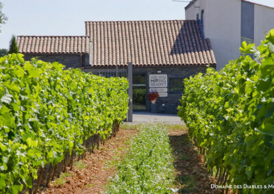 Domaine des Diables et MIP, image 05