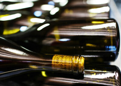 Domaine Maldant et Pauvelot, vignoble 06