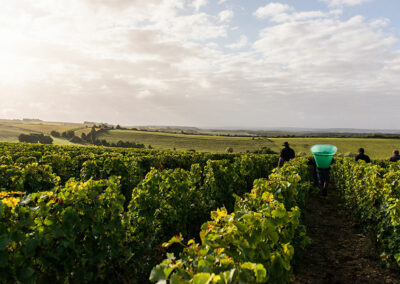 Fournier Père et Fils 06